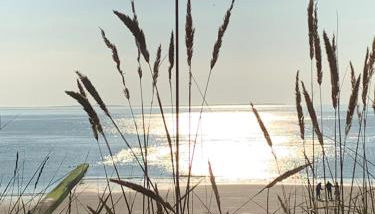 Ferienwohnung Engelke - Foto 2