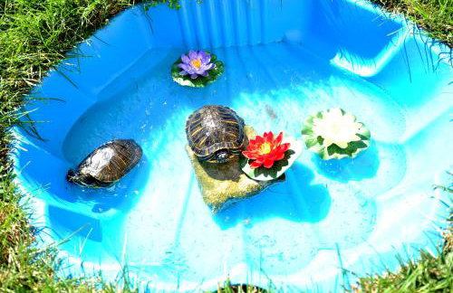 Apartments Villa Tomislav - Foto 11