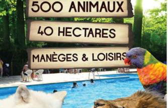 Gîte Des Bons Voisins - Foto 21