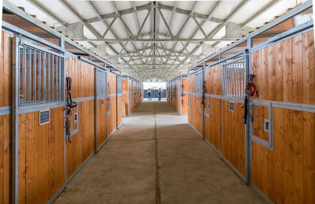 Poggiovalle Tenuta Italiana - Foto 28