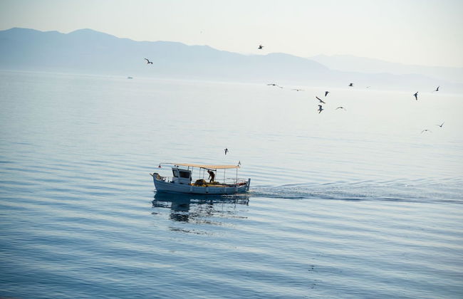 Zante Apt in Gaios With 1 Bedrooms and 1 Bathrooms - Foto 28