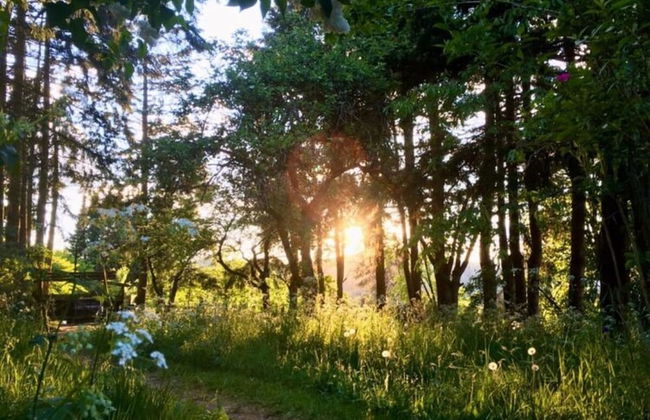 Holiday Home Fairytale hut - Foto 14