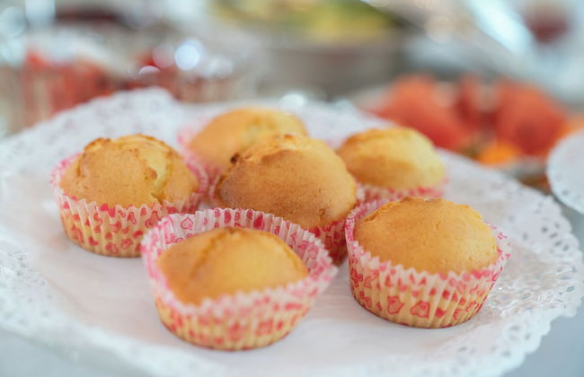 Regia Rosetta - Foto 23