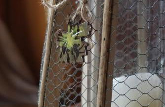 Le Cocon du Potier - Foto 19