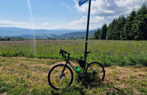 All Season Klimat - Dom przy szlaku z prywatnym tarasem i widokiem na Góry Orlickie - Sudety Sauna&Jacuzzi, Skalne Miasto, 4km do Zieleniec SKI Arena - Foto 55