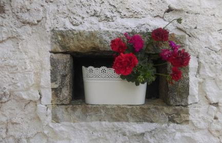 Apartment Toncic - Foto 26