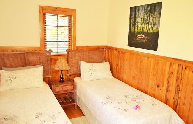 Forest Edge - Foto 8