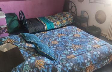 hô choucas - Foto 20