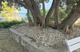 Apartment PANORAMA - amazing sea view, newly renovated - Photo 51