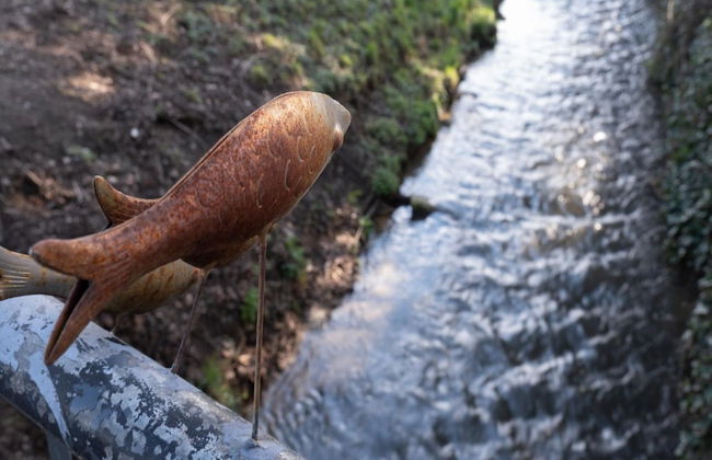 Cosy Flat in South Limburg Near Maastricht - Foto 30