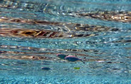 Dream Island Hotel - Foto 23