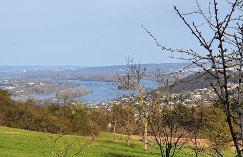 Fichtennest - Foto 16