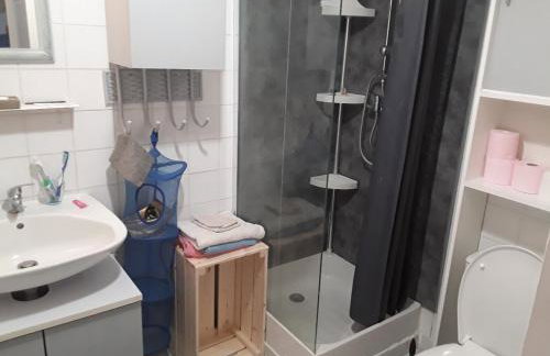 Grand studio sur jardin Nantes Beaujoire B - Foto 10