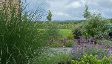 Heideglück - Foto 2