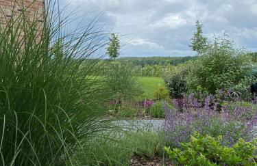 Heideglück - Foto 2