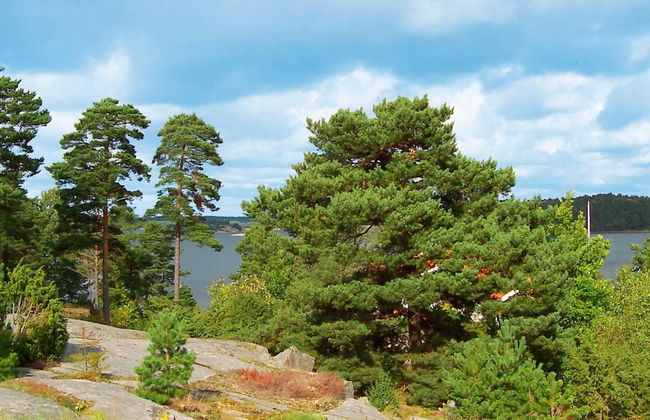 8 Person Holiday Home in Tanumshede - Photo 13