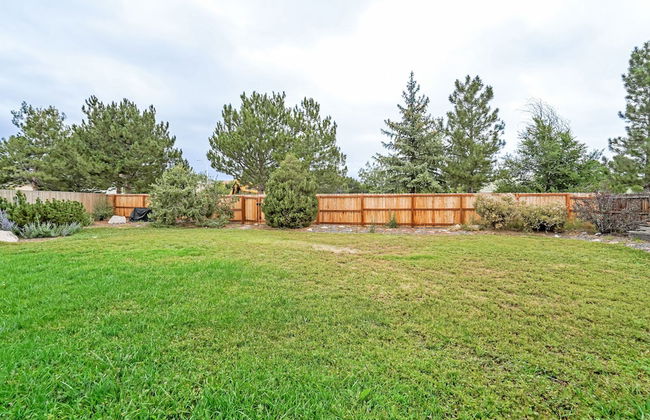 Shirley's Temple - Foto 44