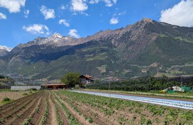 Valentinhof - organic farm - Foto 2