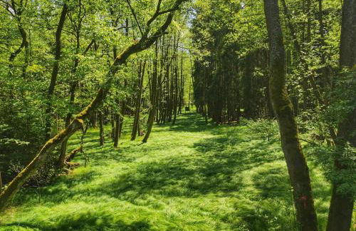 Emyda' s Tropical Home at Goldsteig trail - Foto 32