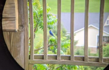 3 Peaks Lodge - Foto 34