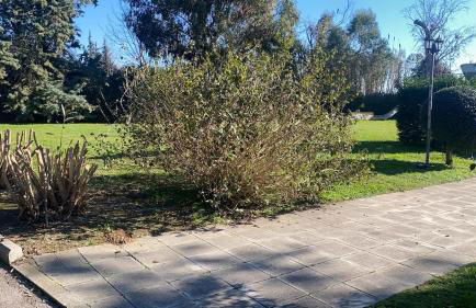 Relax a Baratti -Populonia PIOMBINO - Foto 30