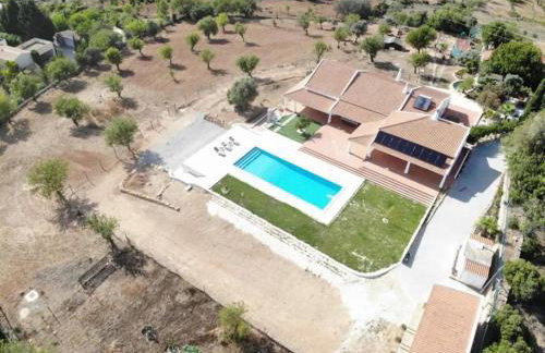 Monte do Pataco - Foto 11