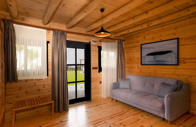 MUKHA ORMANLİ - Photo 15