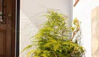 Casa Familiar Don Algodon con Vistas al Mar - Photo 3