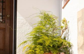 Casa Familiar Don Algodon con Vistas al Mar - Photo 3