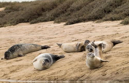 5 Bed in Choseley oc-kt086 - Foto 29