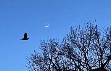 River Island Retreat - Foto 59