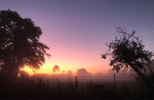 Ferienhaus Waldschlösschen - Foto 12