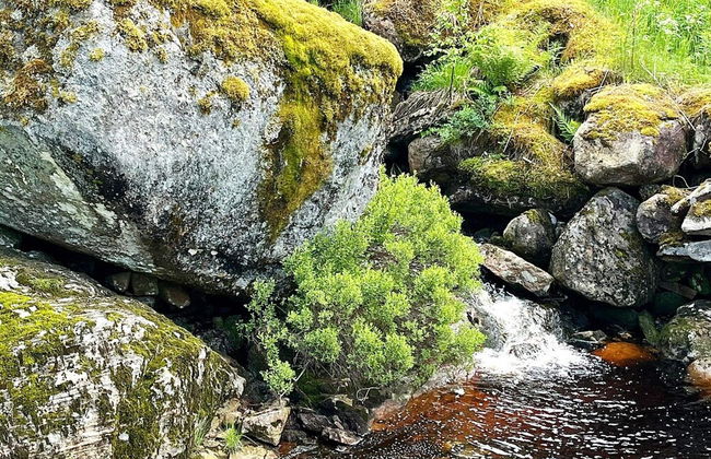 10 Person Holiday Home in Kvinesdal - Foto 32