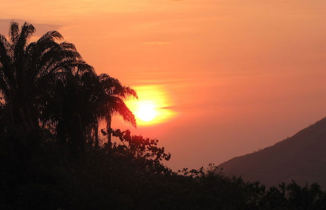 Sol de minca - Photo 28