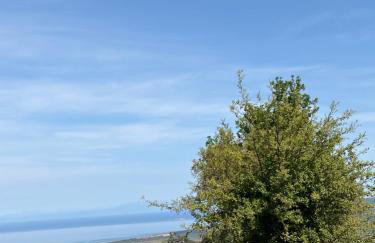 Villa Veronica - Photo 51