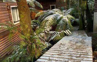 Cabana Lara, com lareira e muito estilo. - Foto 23