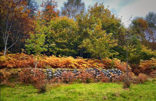 Tarmachan Cottage - West Highland Getaway - Photo 40
