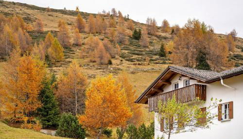 La Baita Verde - Foto 2