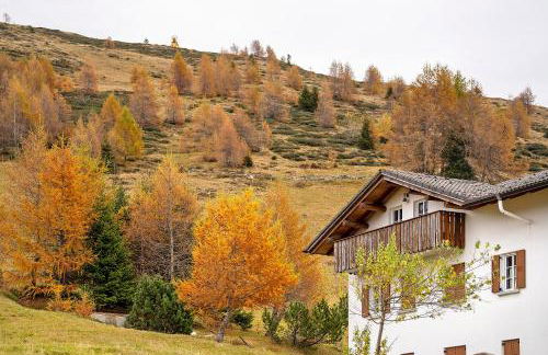 La Baita Verde - Photo 2