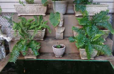 Refuge in the Heart of Montrose - Photo 18