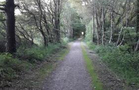 Gîte Des Huttes - Foto 28