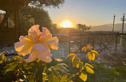 Villa immersa nel verde - Photo 27