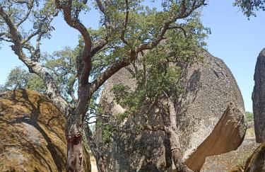 Lugar São Salvador de Monsanto - Foto 42