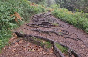 Gite l'Échapée Belle dans les Vosges - Foto 8
