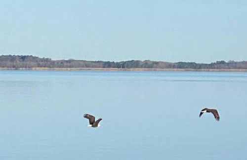 Bay Breeze - Foto 65