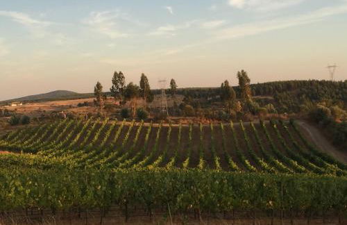 Herdade do Gamito - Foto 10