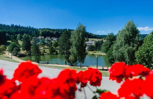 Ferienwohnungen Am Skilift - Foto 26