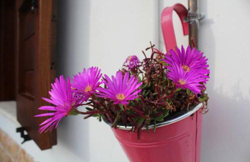 Casa San Giacomo - Foto 73