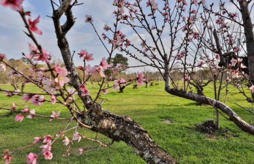 Charming Cottage on 7 acres with Pond - Foto 22