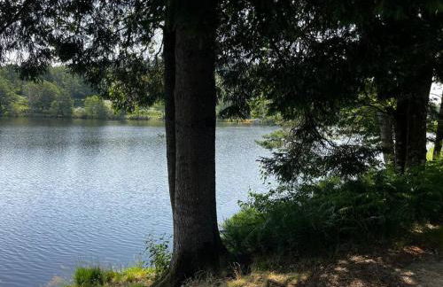 Gîte au bord du lac - Photo 35